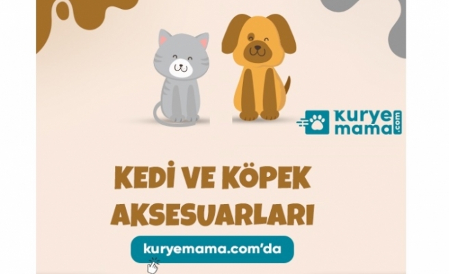 Petshop kampanyalı köpek kedi mamaları ile tuvaleti ürünleri sadece kurye mama da satışta